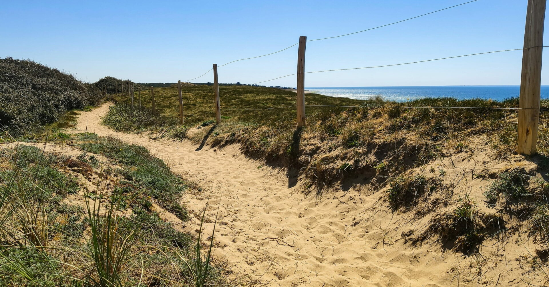 dunes-ile-de-re