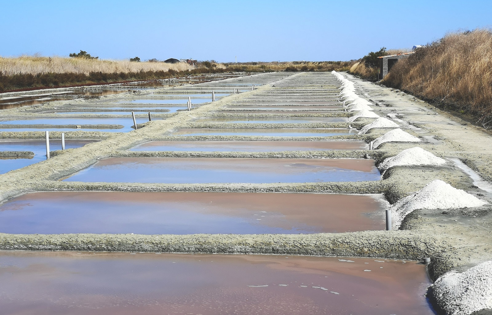 fleur-de-sel-ile-de-re