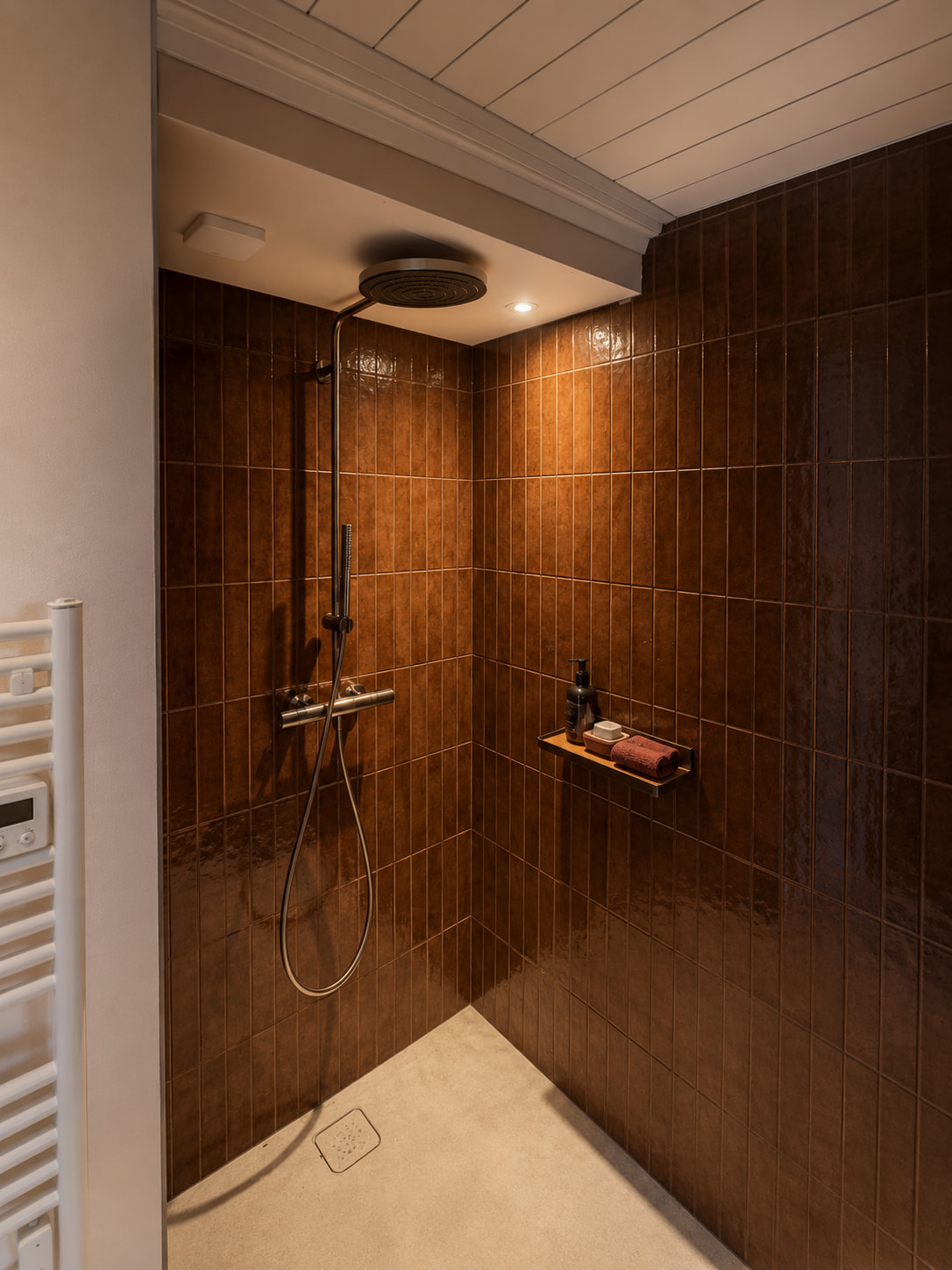 douche-chambre-dulse