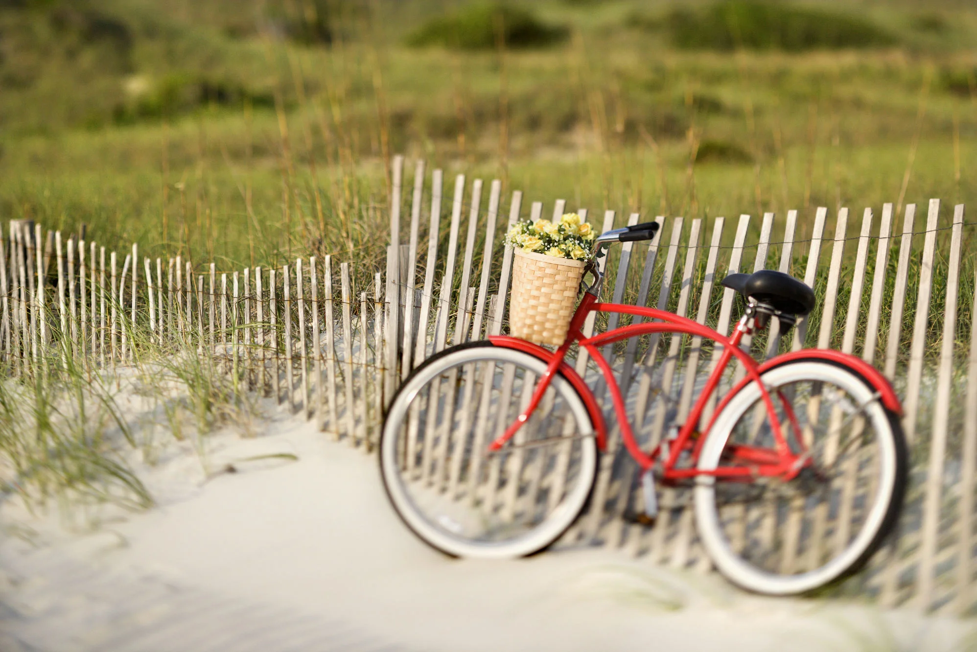 velo-ile-de-re
